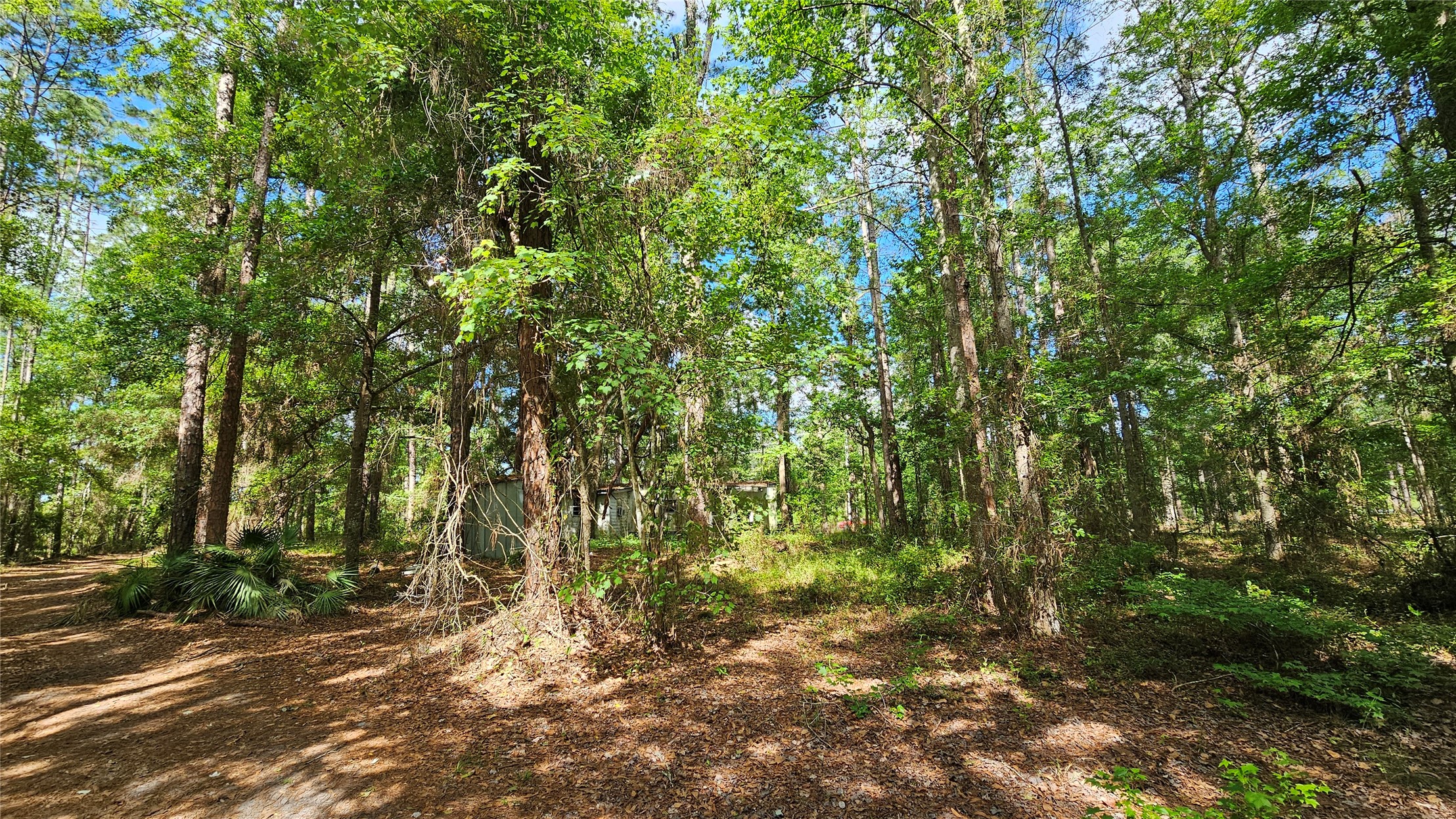 6324 Lannie Road Jacksonville, FL 32218 - Photo 20 of 60