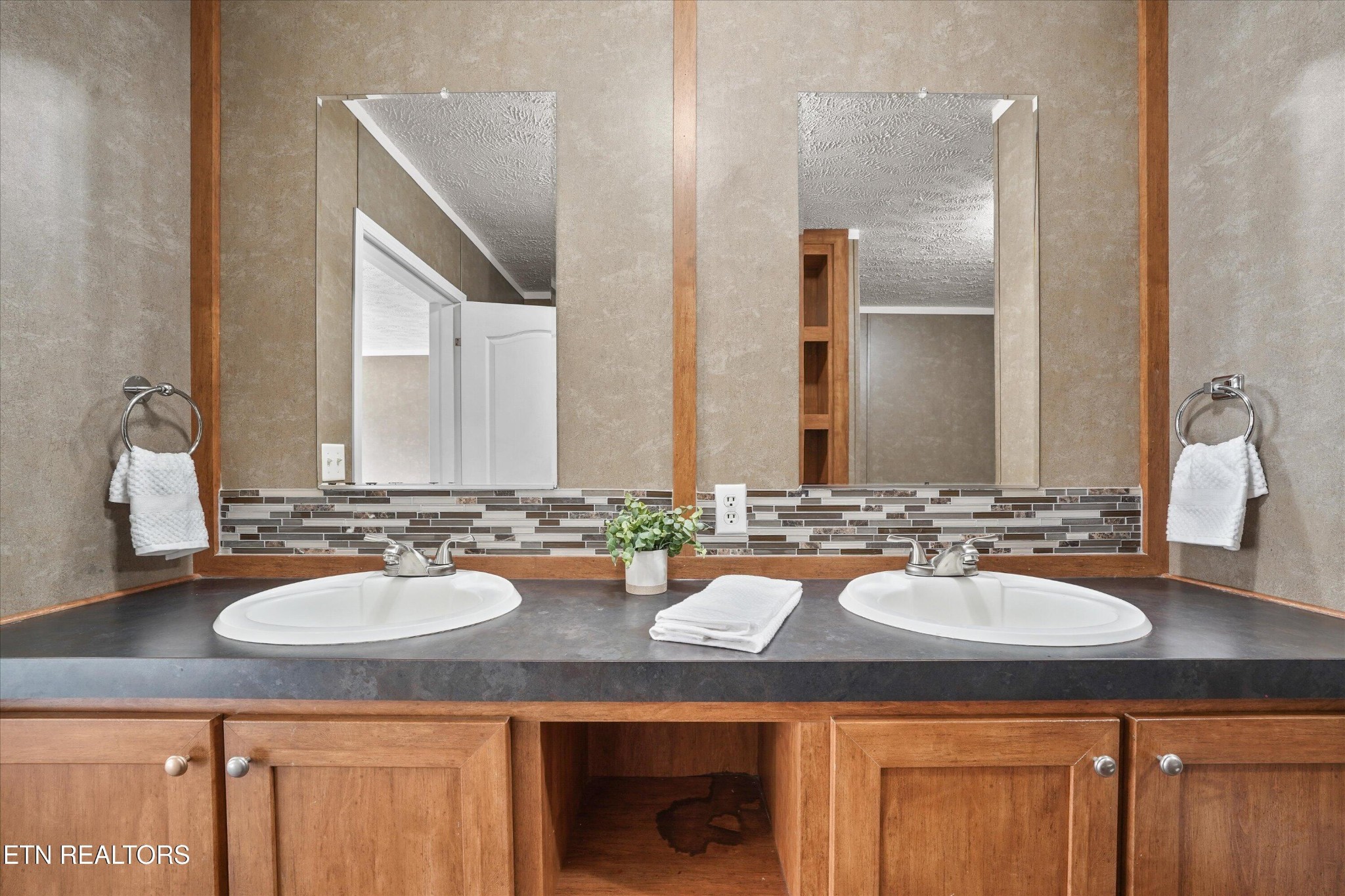 603 Bays Mountain Road Knoxville, TN 37920 - Photo 11 of 30 a bathroom with double sink and a mirror