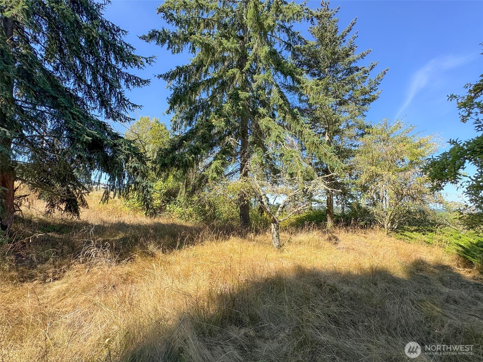 463 Miller Road Sequim, WA 98382 - Photo 33 of 39