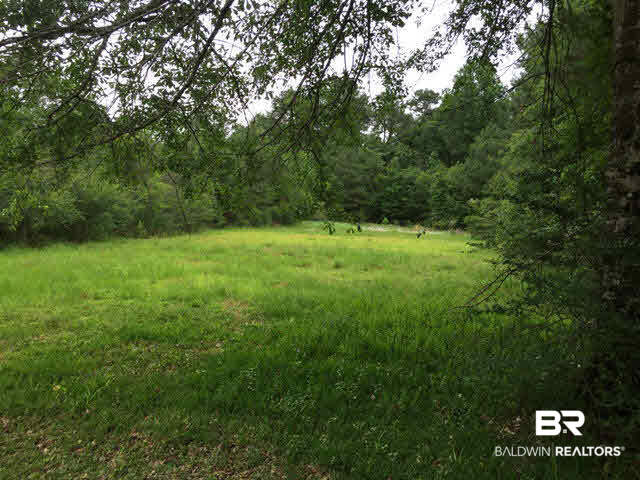 41280 Highway 225 Bay Minette, AL 36507 - Photo 15 of 16 Yard