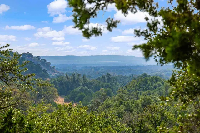 a view of a lake in middle of forest