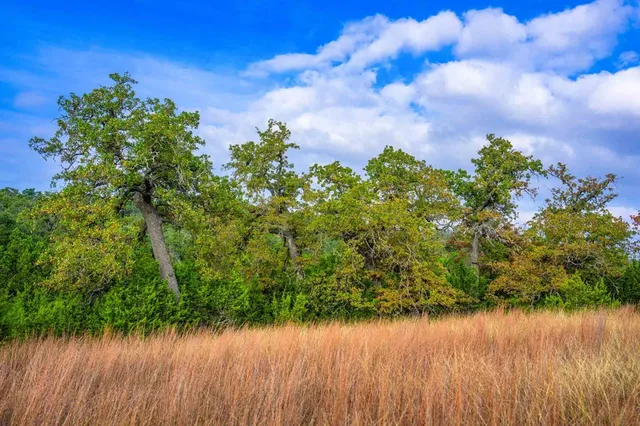 a view of a lake from a yard