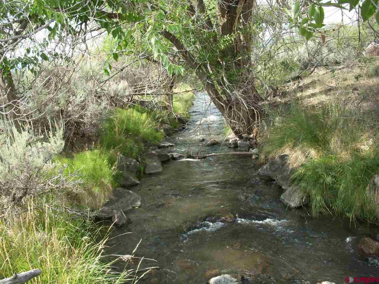 Tbd Westridge Road Cedaredge, CO 81413 - Photo 1 of 14 a view of water yard