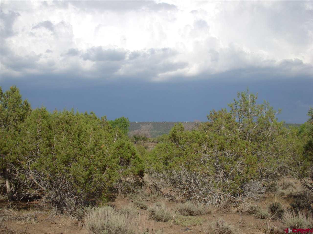 Tbd Westridge Road Cedaredge, CO 81413 - Photo 4 of 14 a view of a bunch of trees