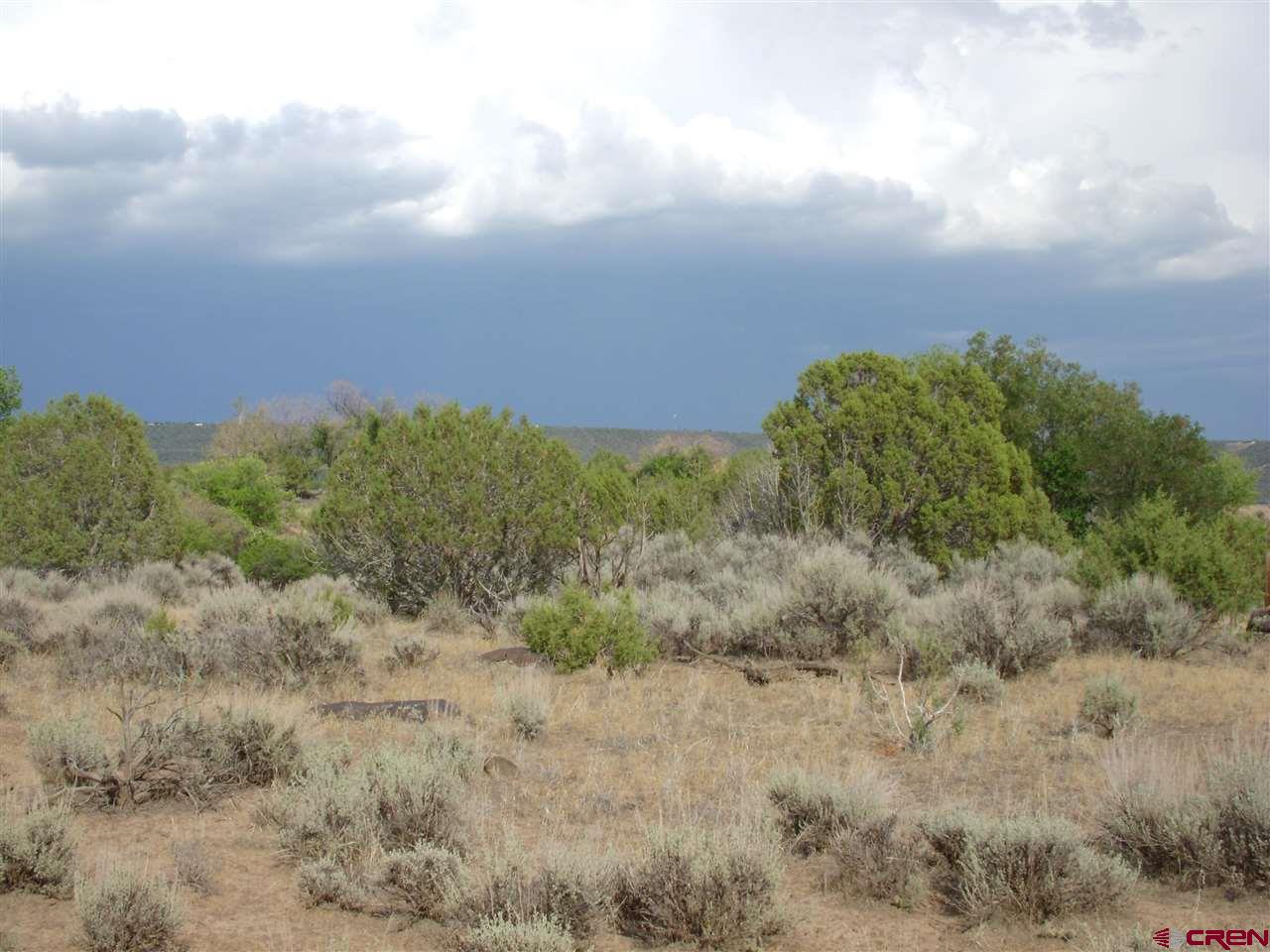 Tbd Westridge Road Cedaredge, CO 81413 - Photo 5 of 14 a view of a bunch of trees