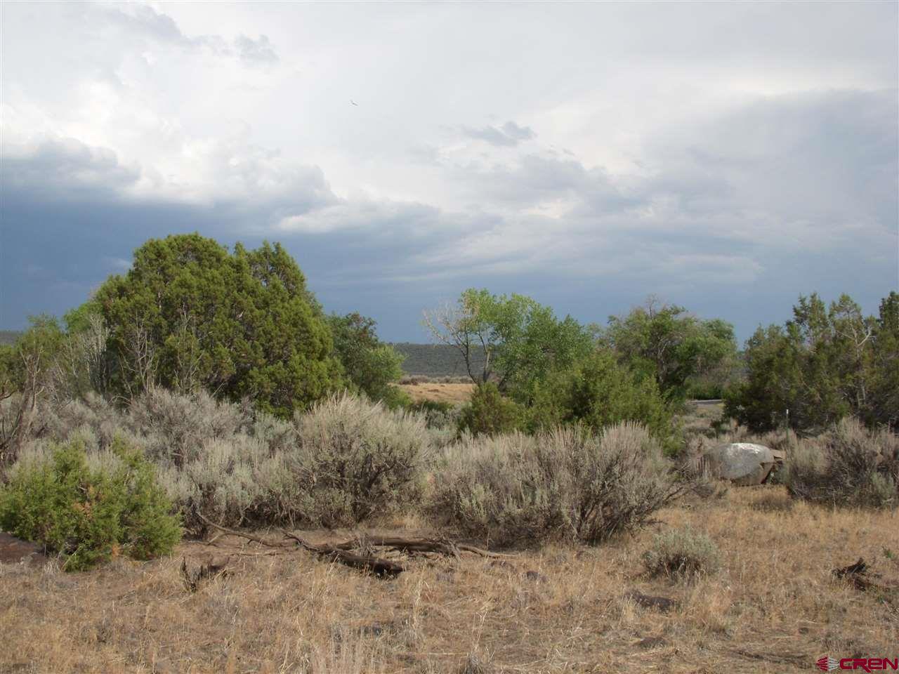 Tbd Westridge Road Cedaredge, CO 81413 - Photo 8 of 14 a view of a dry yard with trees