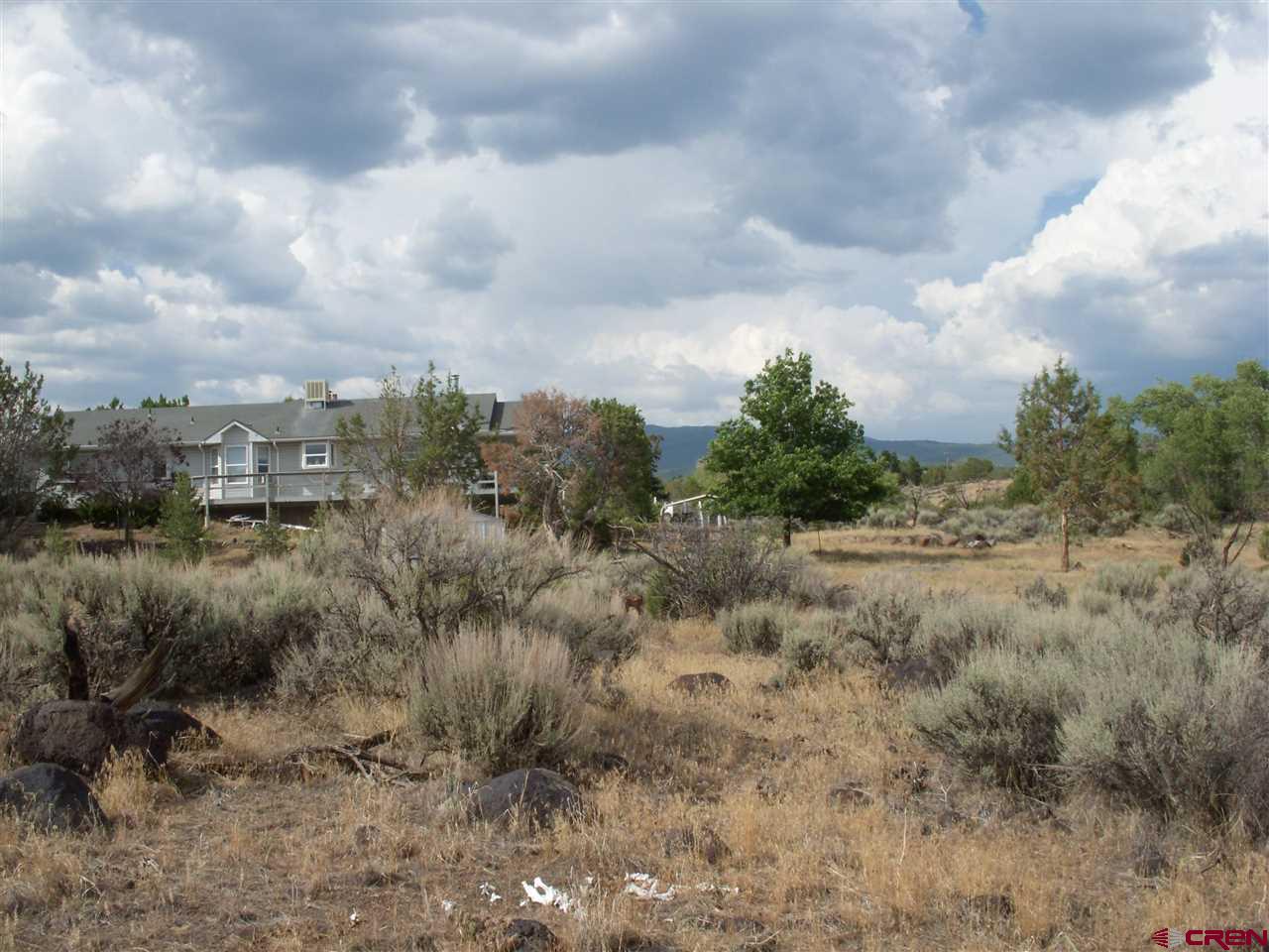 Tbd Westridge Road Cedaredge, CO 81413 - Photo 10 of 14 a view of a lot of trees in background