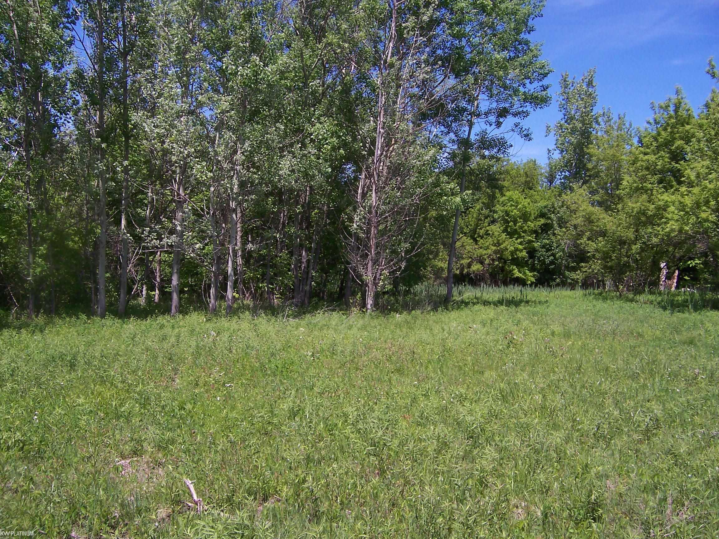 Lot 1 Lapeer Road Port Huron, MI 48060 - Photo 2 of 2
