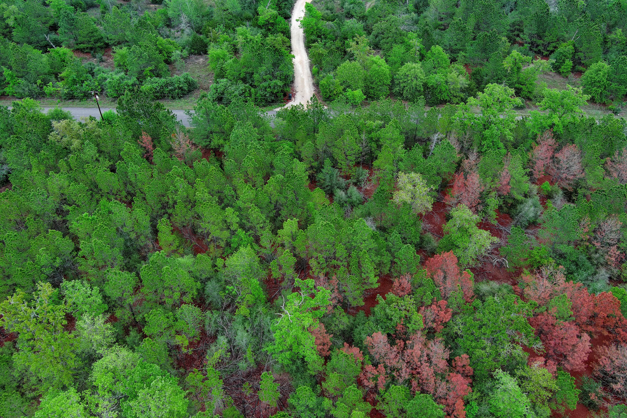 453 Kelley Road East Bastrop, TX 78602 - Photo 12 of 20 an aerial view of residential house with outdoor space and trees all around