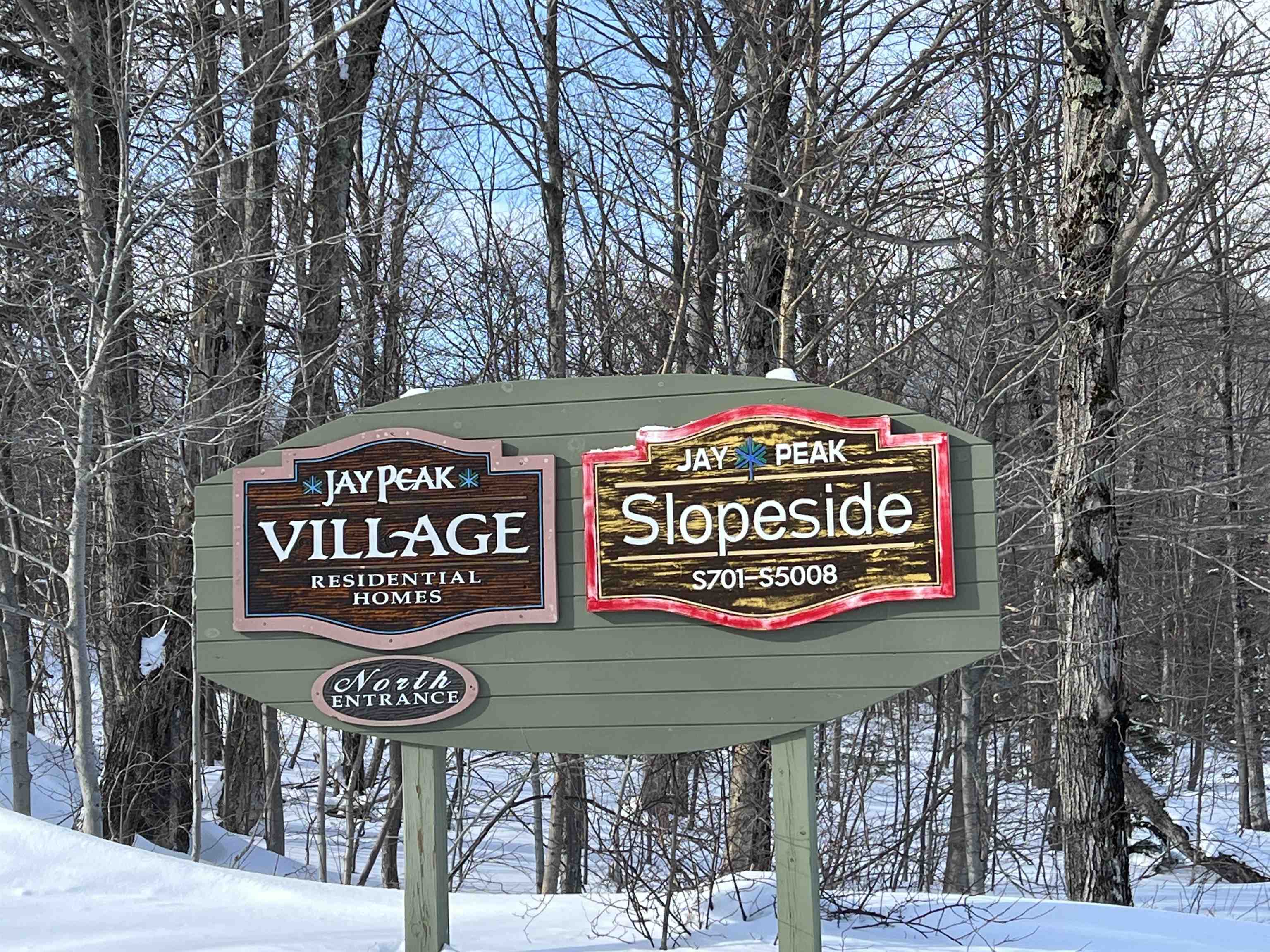 298 Slopeside Road, Unit S2005 Jay, VT 05859 - Photo 40 of 40
