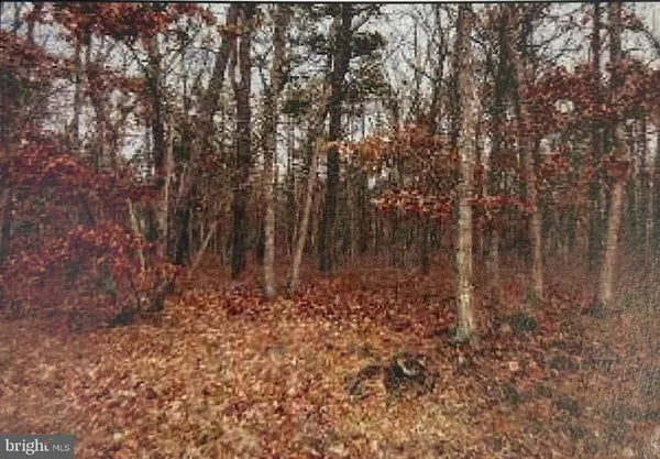 $50,000 | 0 Elsiah Street, Forked River, NJ 08731