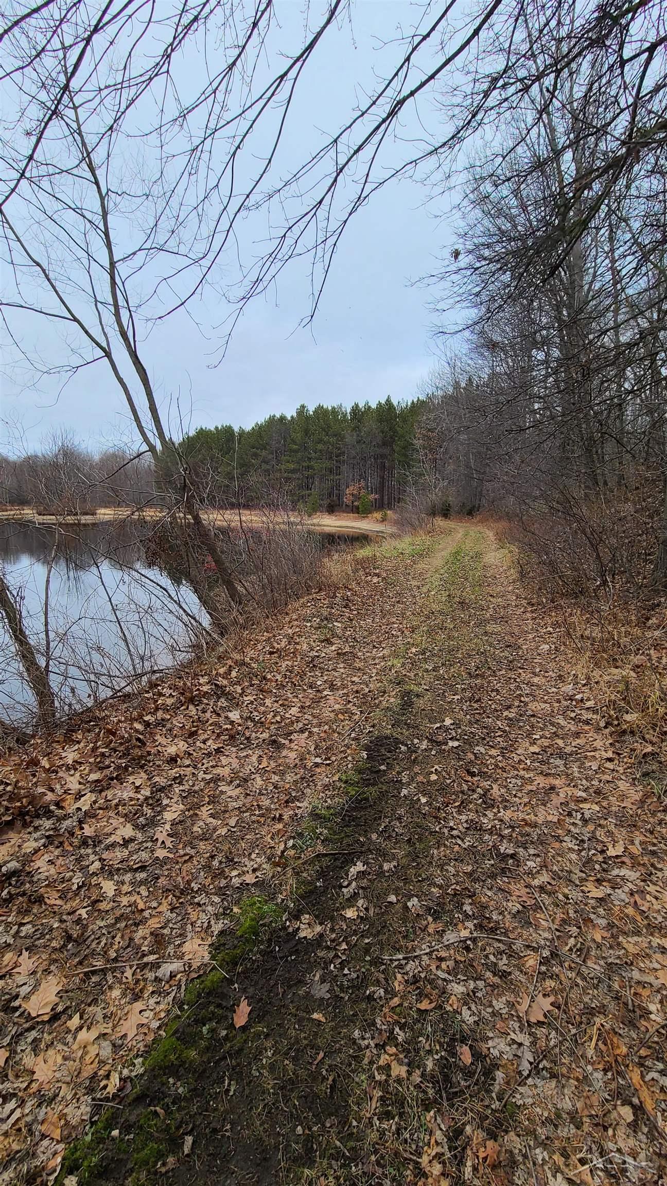 14520 West Gary Road Chesaning, MI 48616 - Photo 7 of 36 Trails/Drive along side p