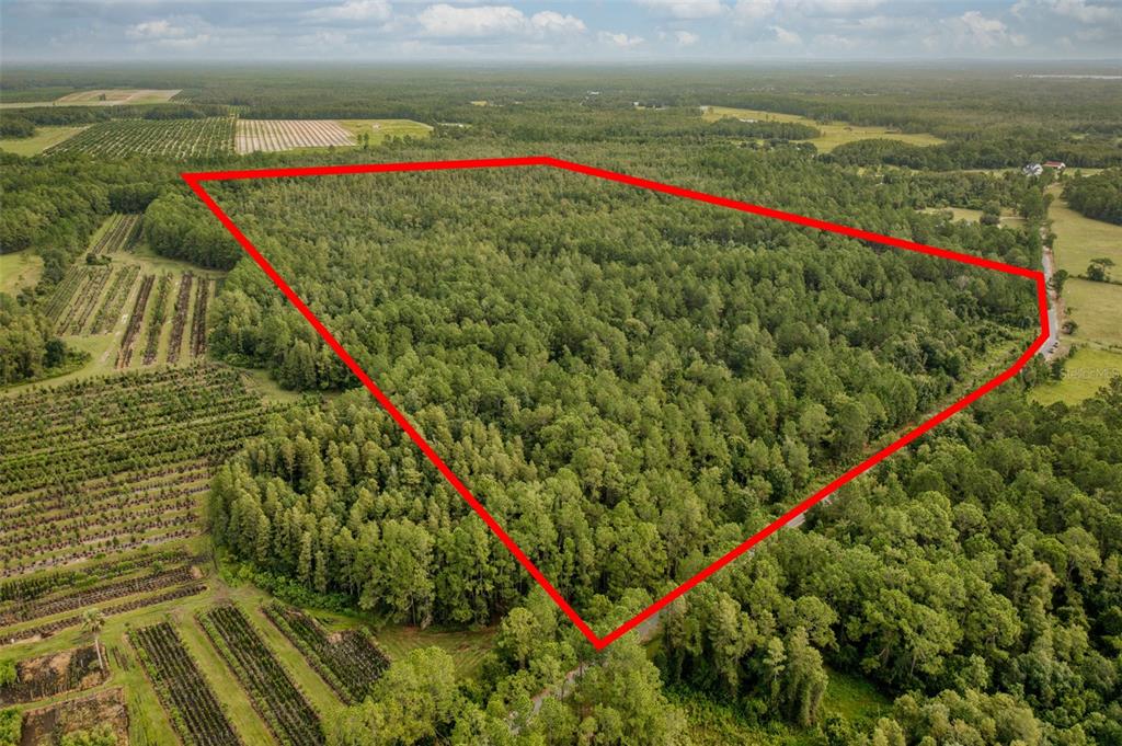 South Fork Ranch Road Clermont, FL 34714 - Photo 1 of 1 Gallery Image 1