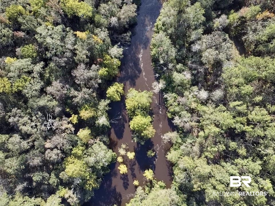 0 Country Road Vinegar Bend, AL 36584 - Photo 1 of 46