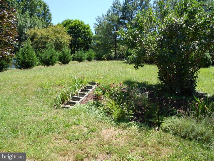 2036 Conowingo Road Rising Sun, MD 21911 - Photo 23 of 27 Exterior (Rear)