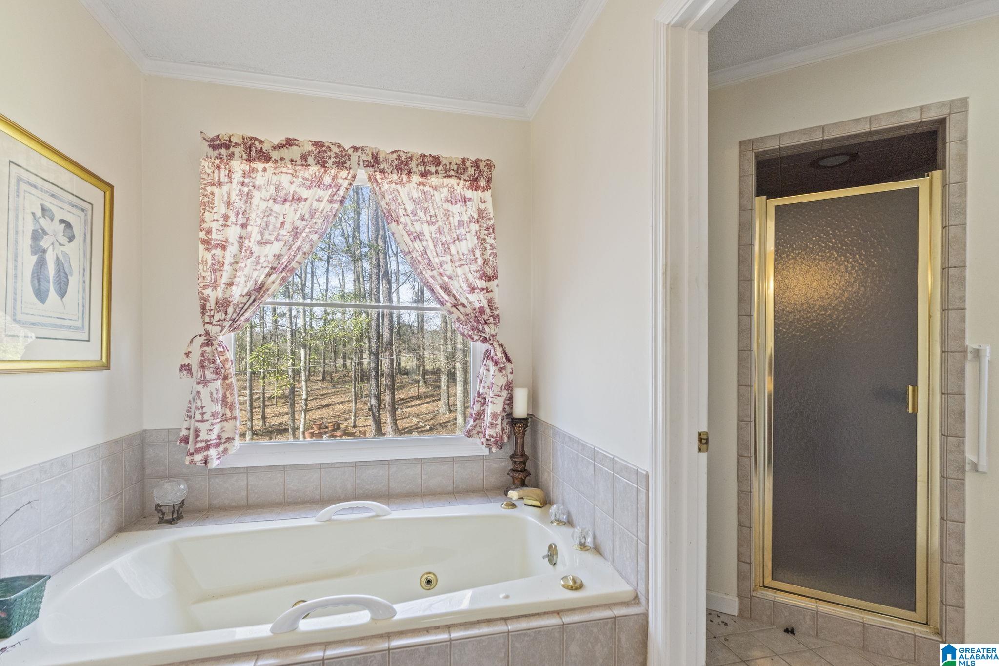 787 Thompson Chapel Road Jemison, AL 35085 - Photo 25 of 48