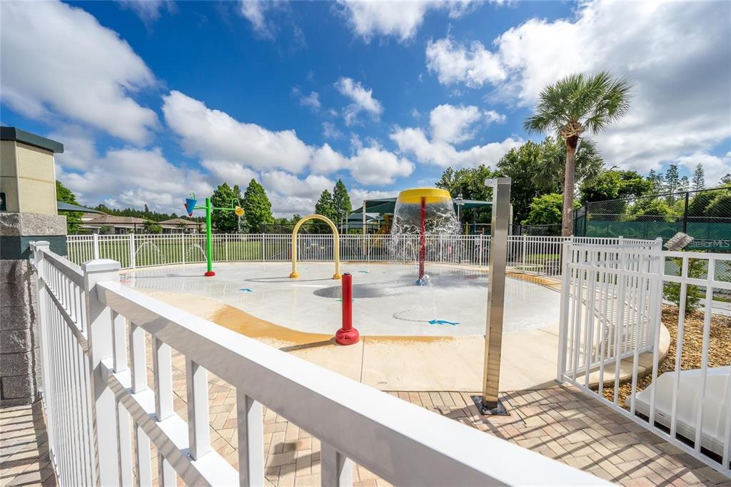 1238 Beckenham Way Wesley Chapel, FL 33543 - Photo 27 of 31 a view of a swimming pool with a porch