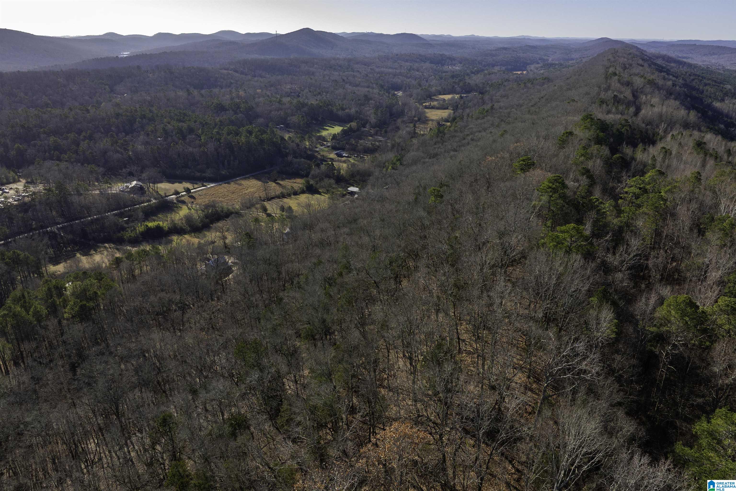 1775 Red Valley Road Remlap, AL 35133 - Photo 44 of 56