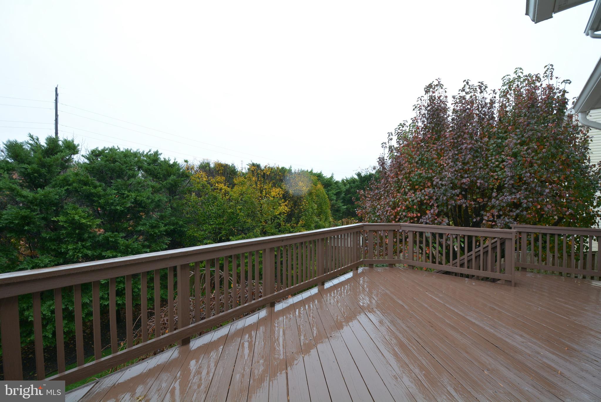6153 Deer Ridge Trail Springfield, VA 22150 - Photo 53 of 58 Deck