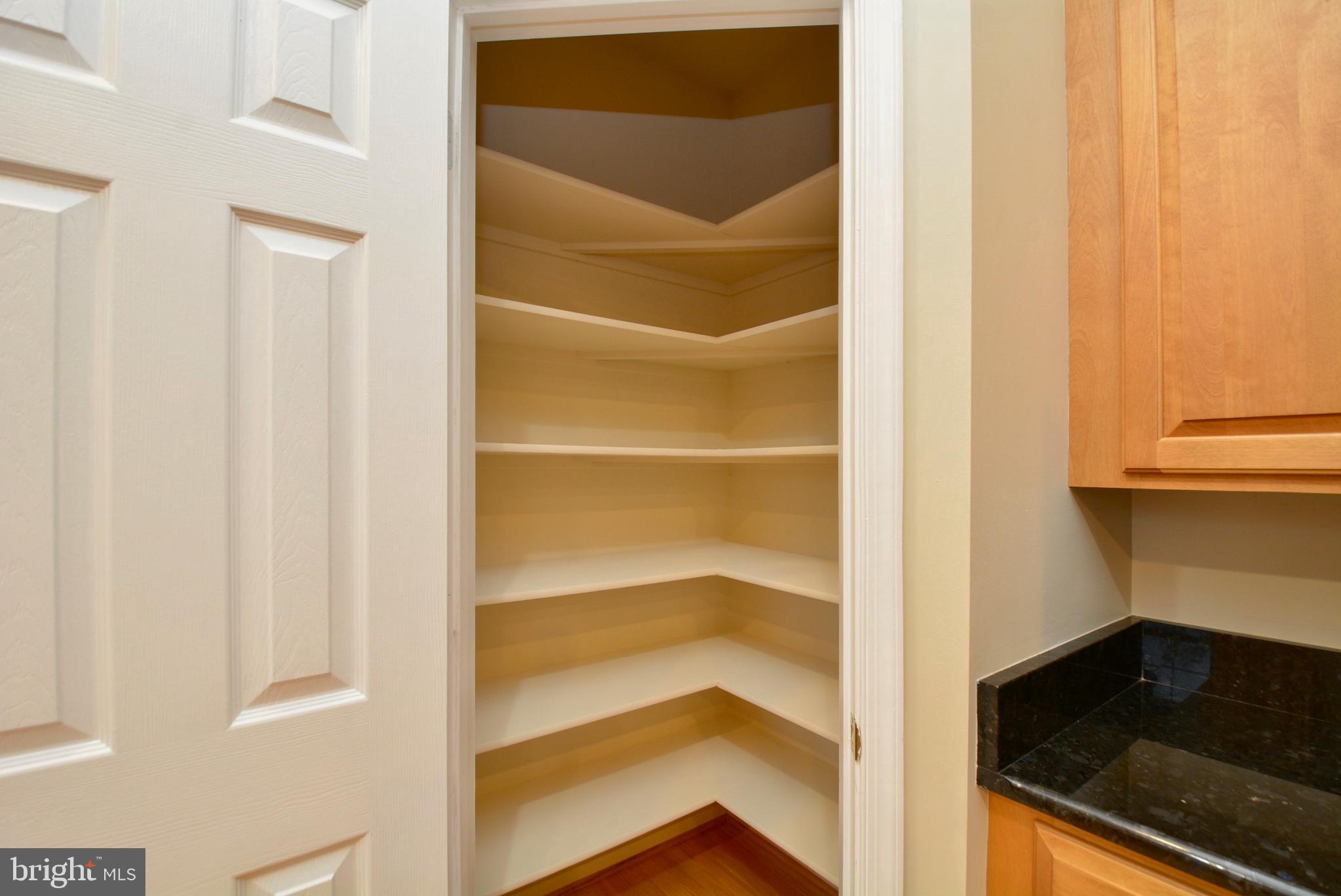 6153 Deer Ridge Trail Springfield, VA 22150 - Photo 10 of 58 Pantry