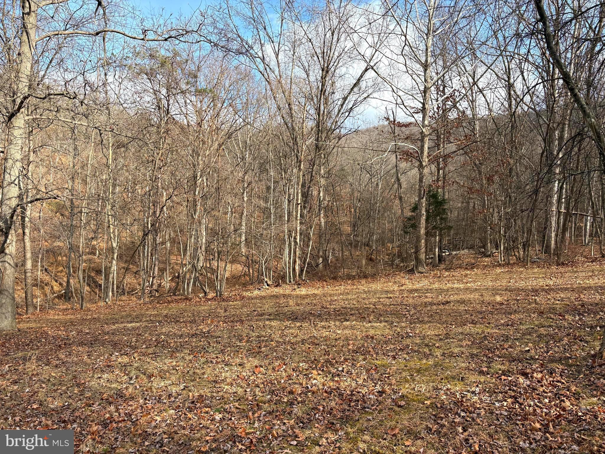16 Rolling Acres Road Old Fields, WV 26845 - Photo 1 of 23