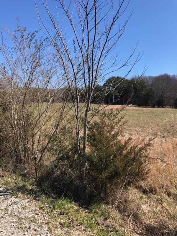 Baptist Ridge Highway Hilham, TN 38568 - Photo 1 of 12 endress