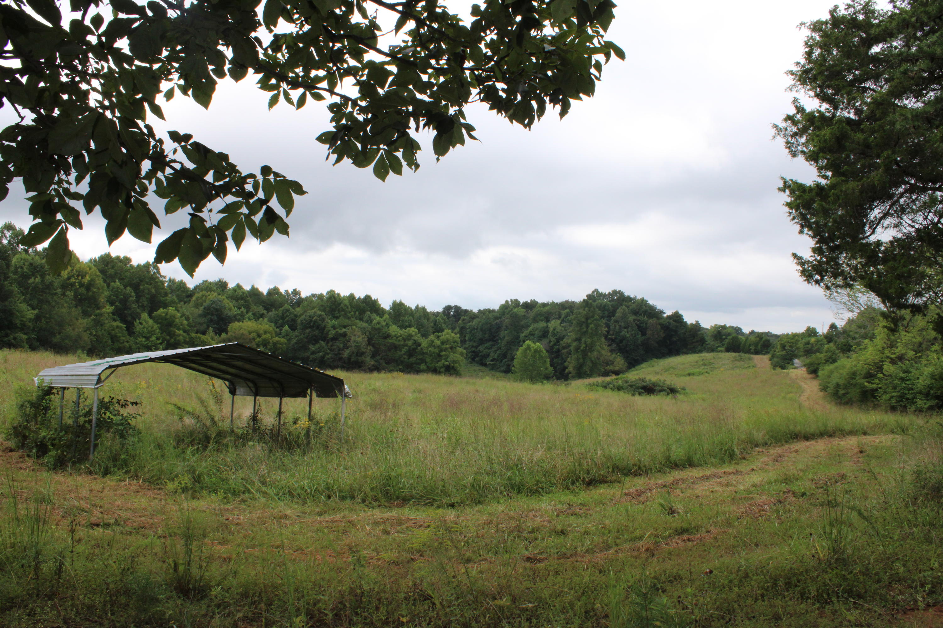 Baptist Ridge Highway Hilham, TN 38568 - Photo 12 of 12 IMG_0189