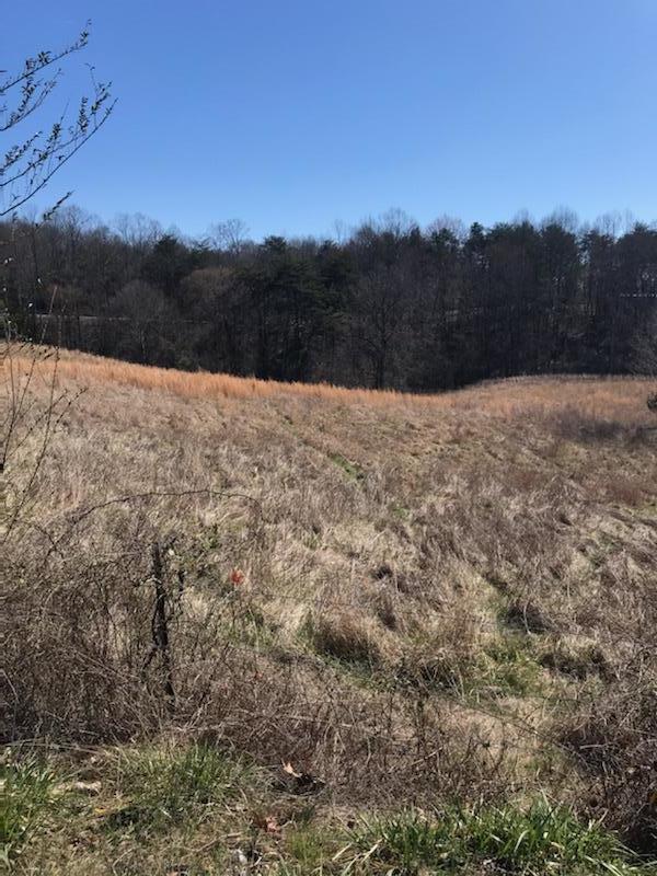 Baptist Ridge Highway Hilham, TN 38568 - Photo 3 of 12 endress2
