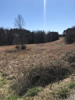 Baptist Ridge Highway Hilham, TN 38568 - Photo 4 of 12 endress4