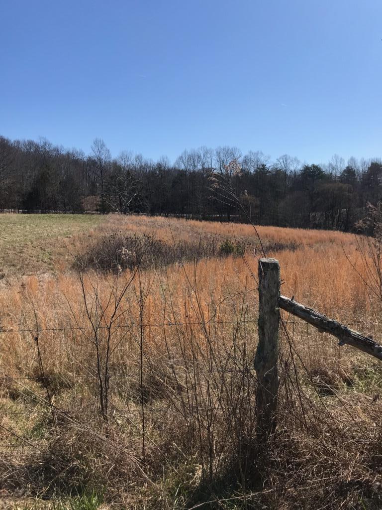 Baptist Ridge Highway Hilham, TN 38568 - Photo 5 of 12 endress6