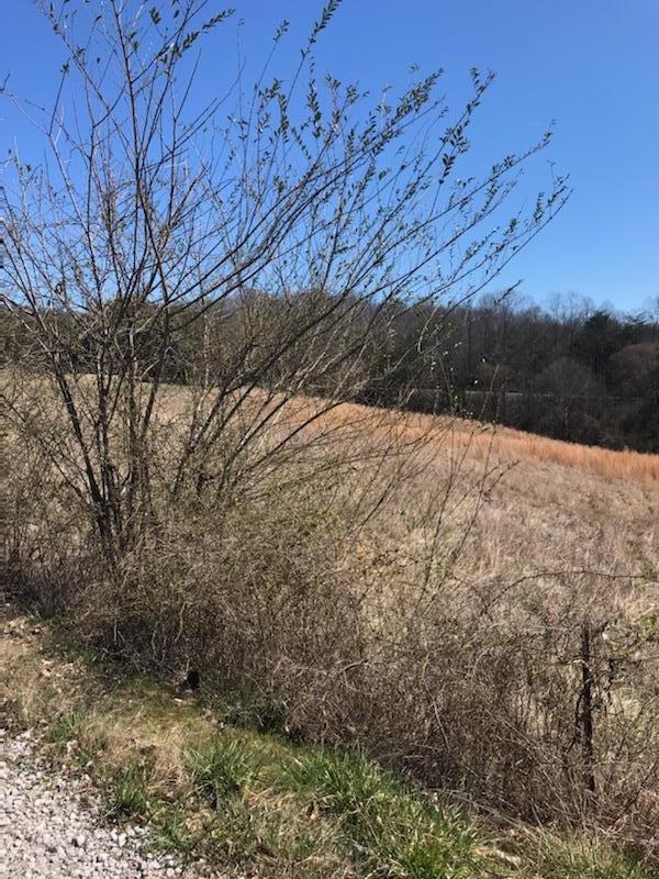 Baptist Ridge Highway Hilham, TN 38568 - Photo 6 of 12 endress9