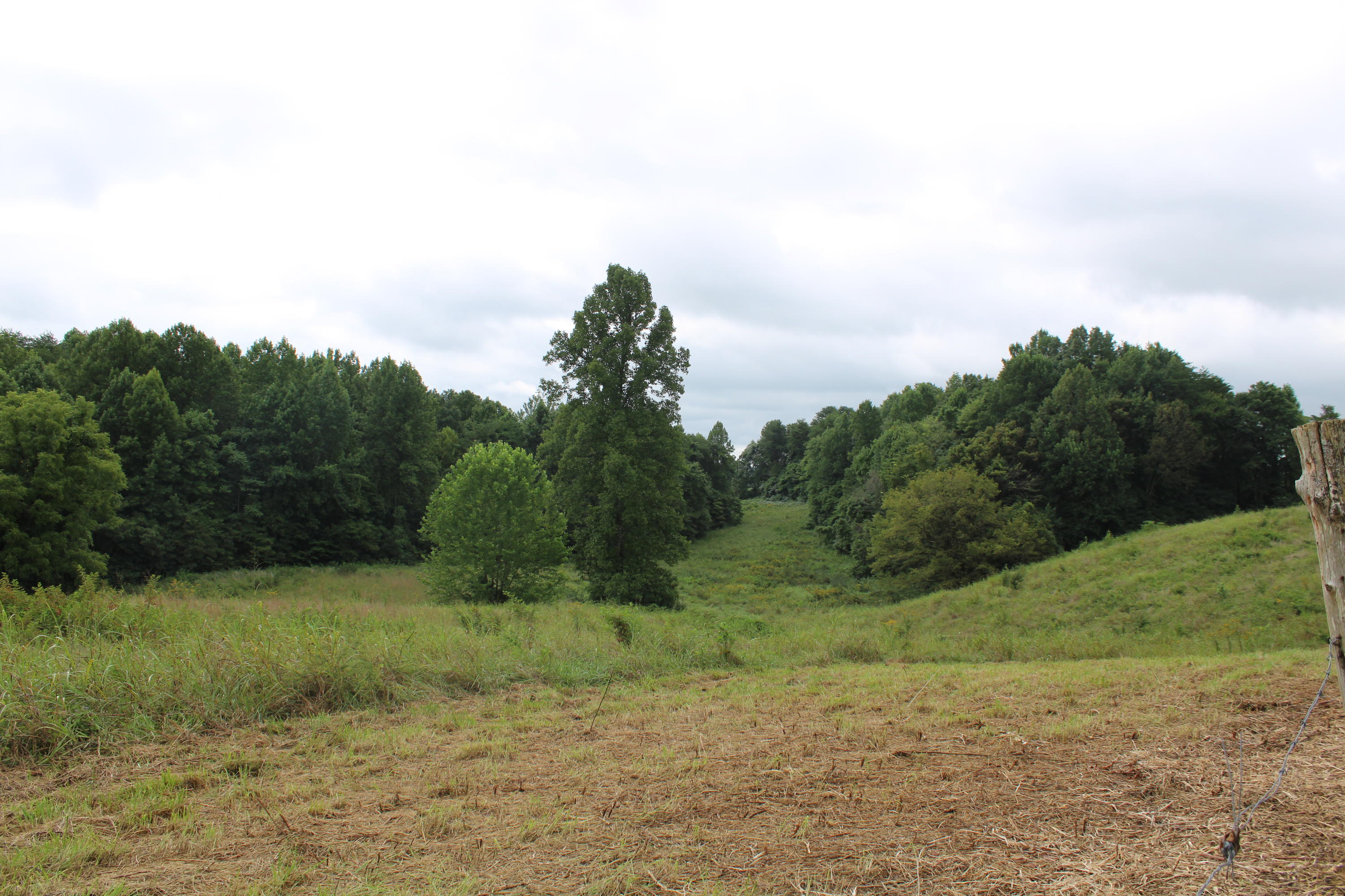 Baptist Ridge Highway Hilham, TN 38568 - Photo 7 of 12 IMG_0177