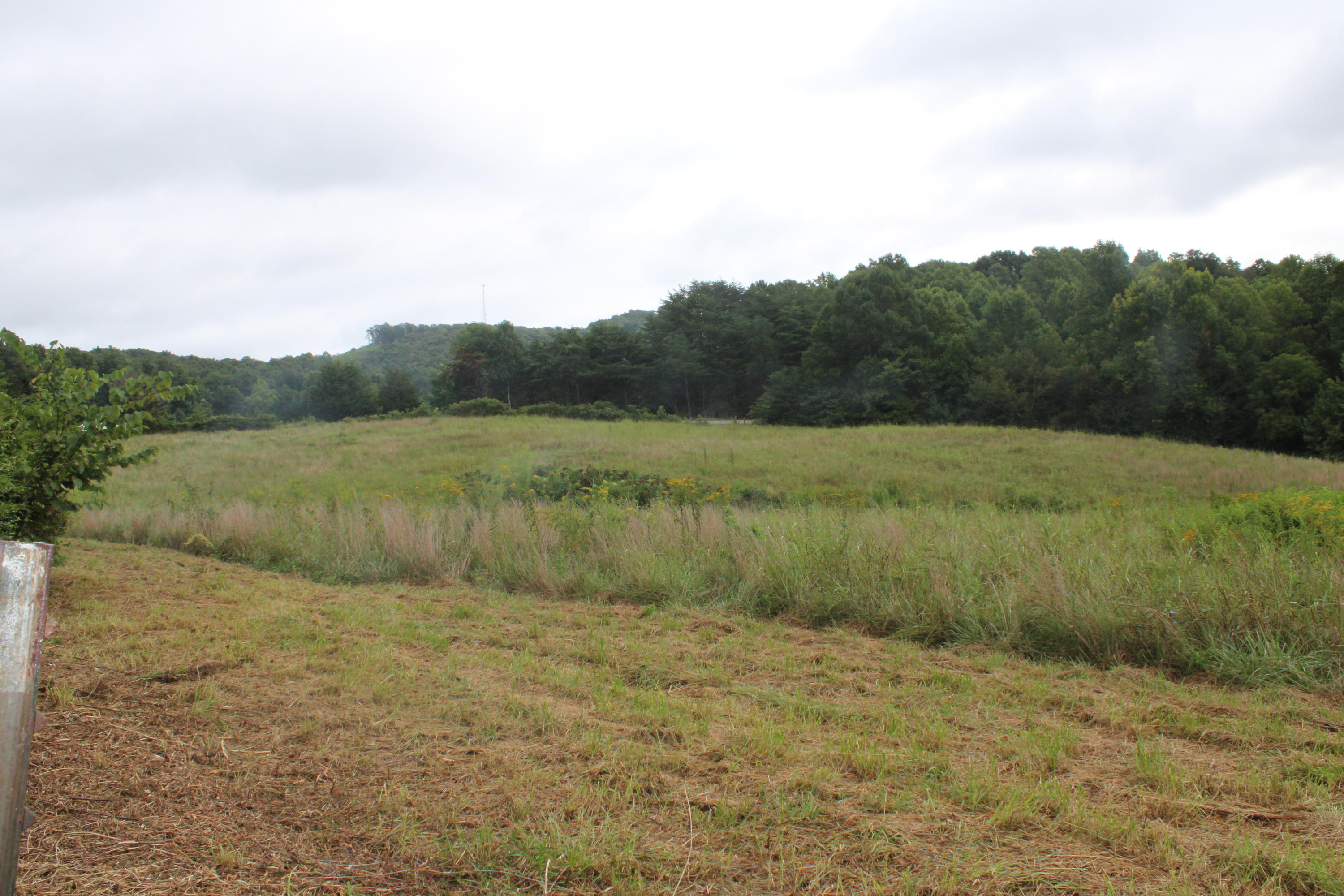 Baptist Ridge Highway Hilham, TN 38568 - Photo 8 of 12 IMG_0178