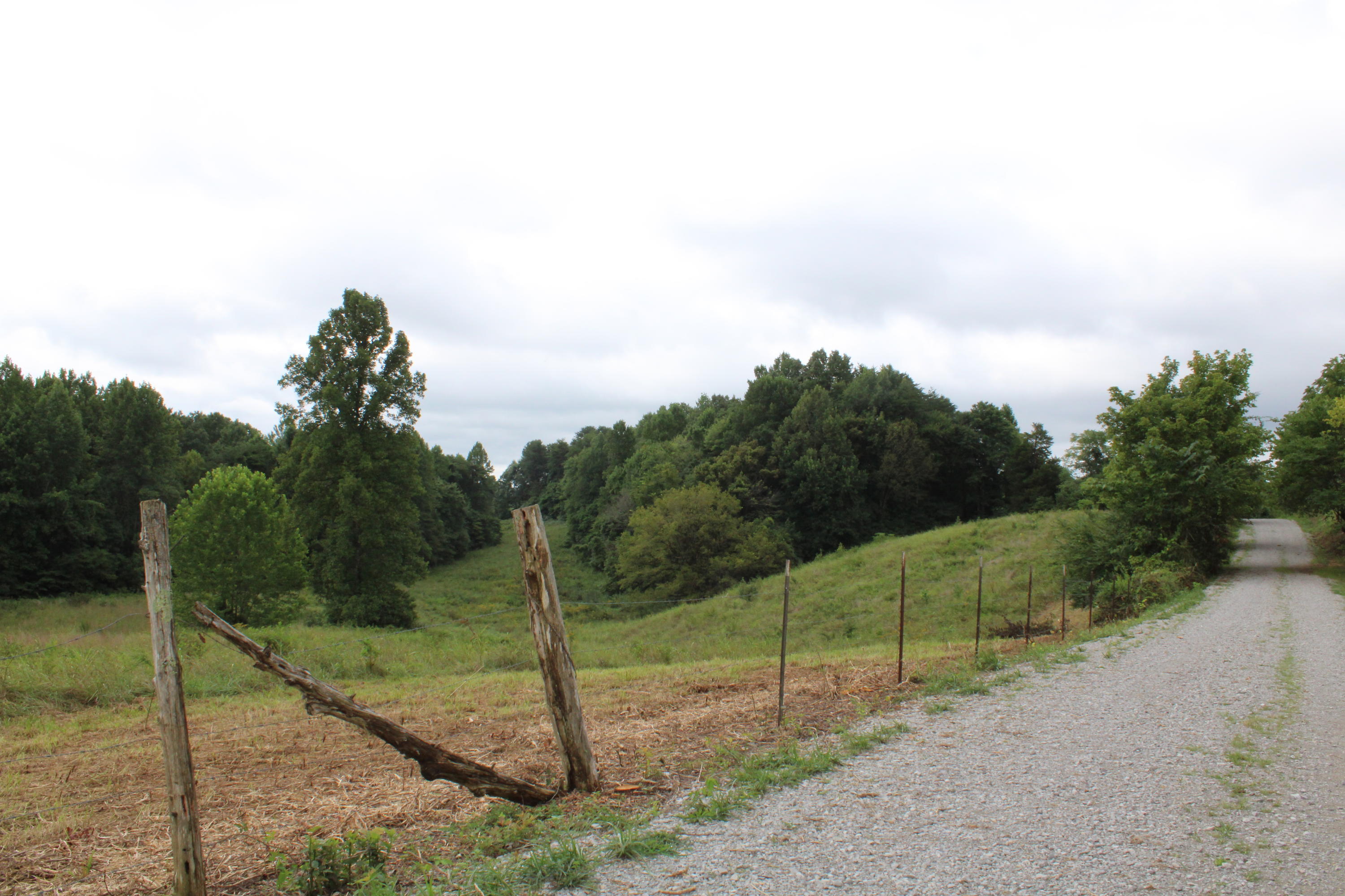 Baptist Ridge Highway Hilham, TN 38568 - Photo 9 of 12 IMG_0179
