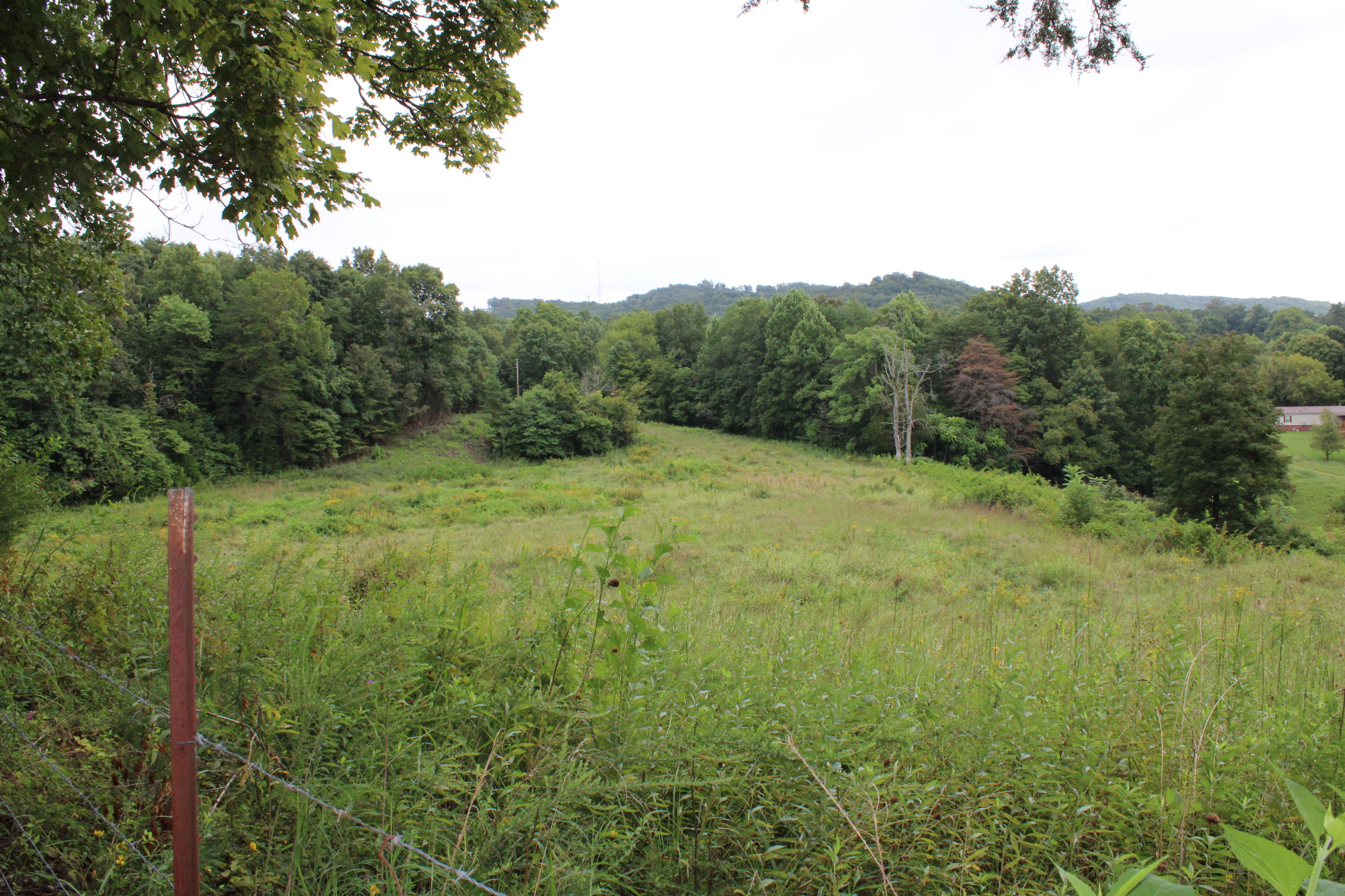Baptist Ridge Highway Hilham, TN 38568 - Photo 10 of 12 IMG_0182