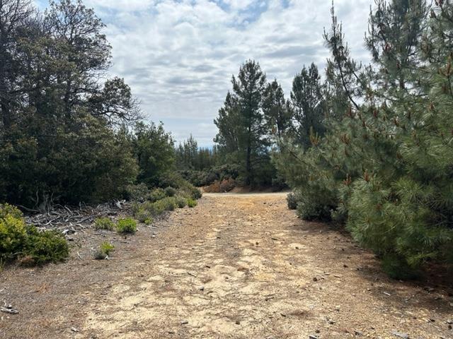 15950 Summit Road Watsonville, CA 95076 - Photo 26 of 27 Gallery Image 26