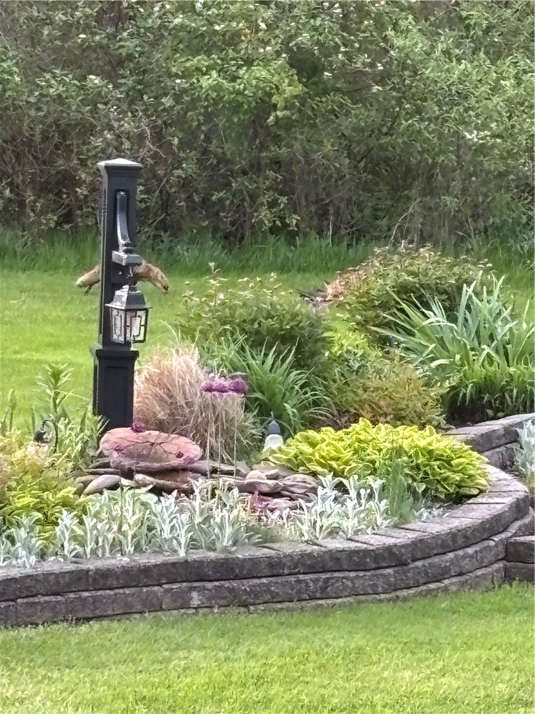 94 Long Pond Road Greece, NY 14612 - Photo 47 of 50