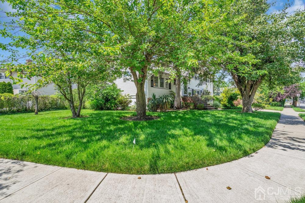 233 Amherst Avenue Colonia, NJ 07067 - Photo 49 of 56 a view of a garden with a fountain