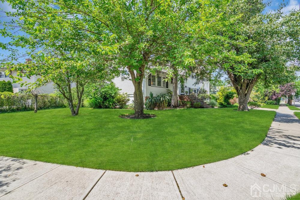 233 Amherst Avenue Colonia, NJ 07067 - Photo 5 of 56 a view of a park with large trees