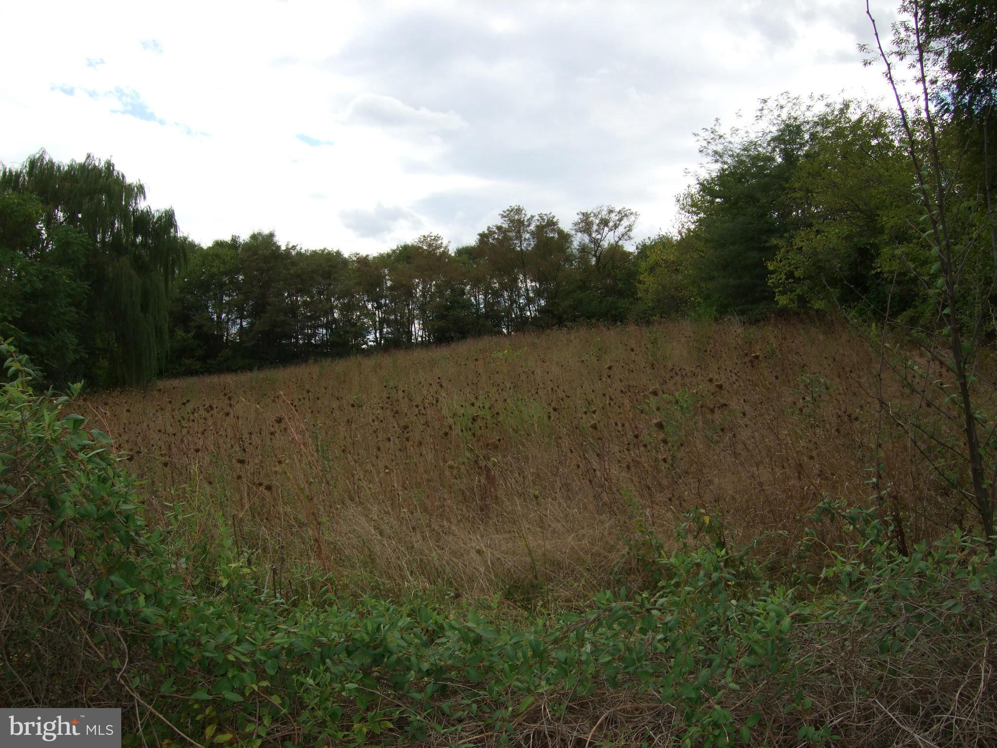 Bufflick Road Winchester, VA 22602 - Photo 3 of 7 View