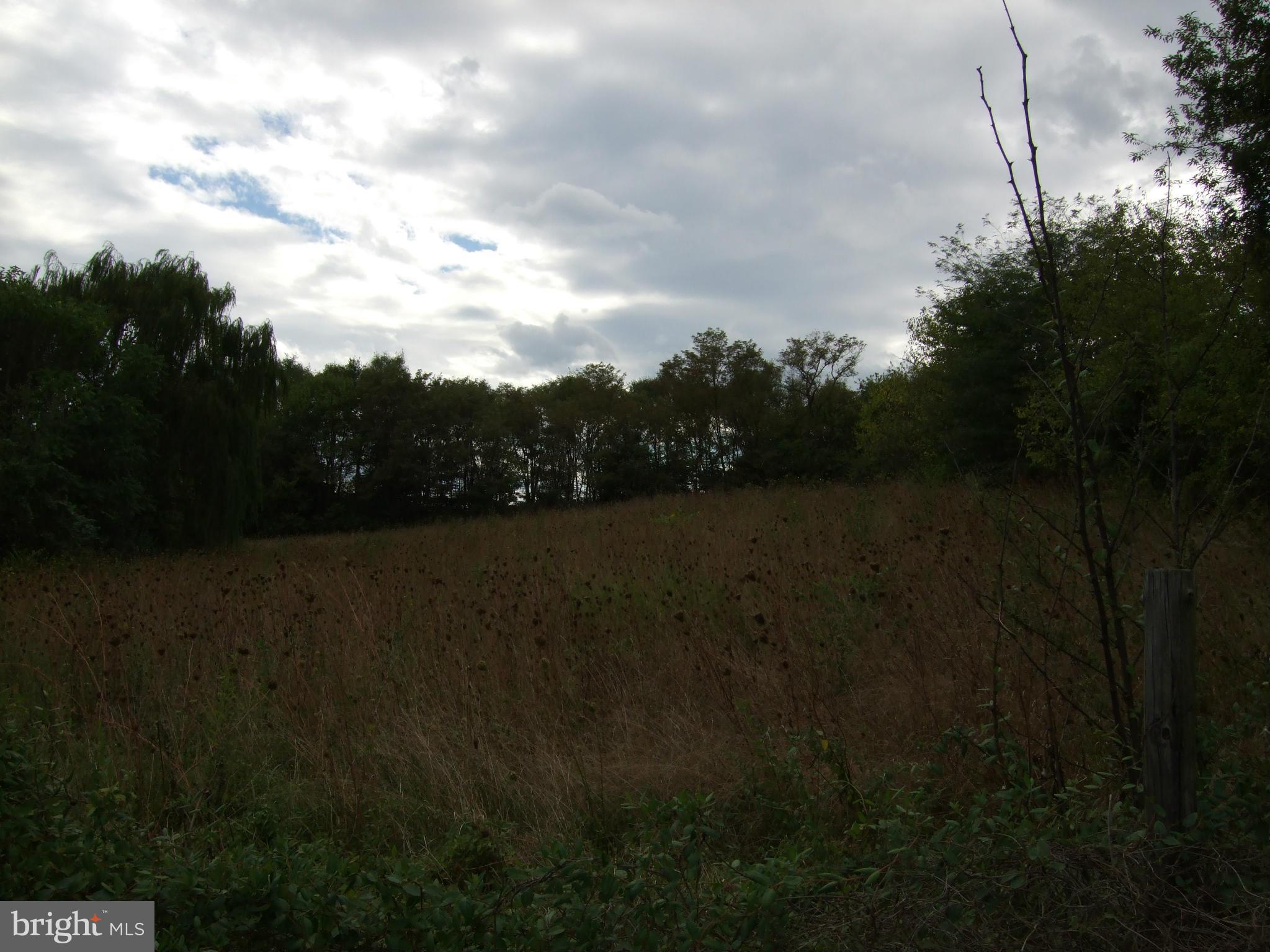Bufflick Road Winchester, VA 22602 - Photo 4 of 7 View