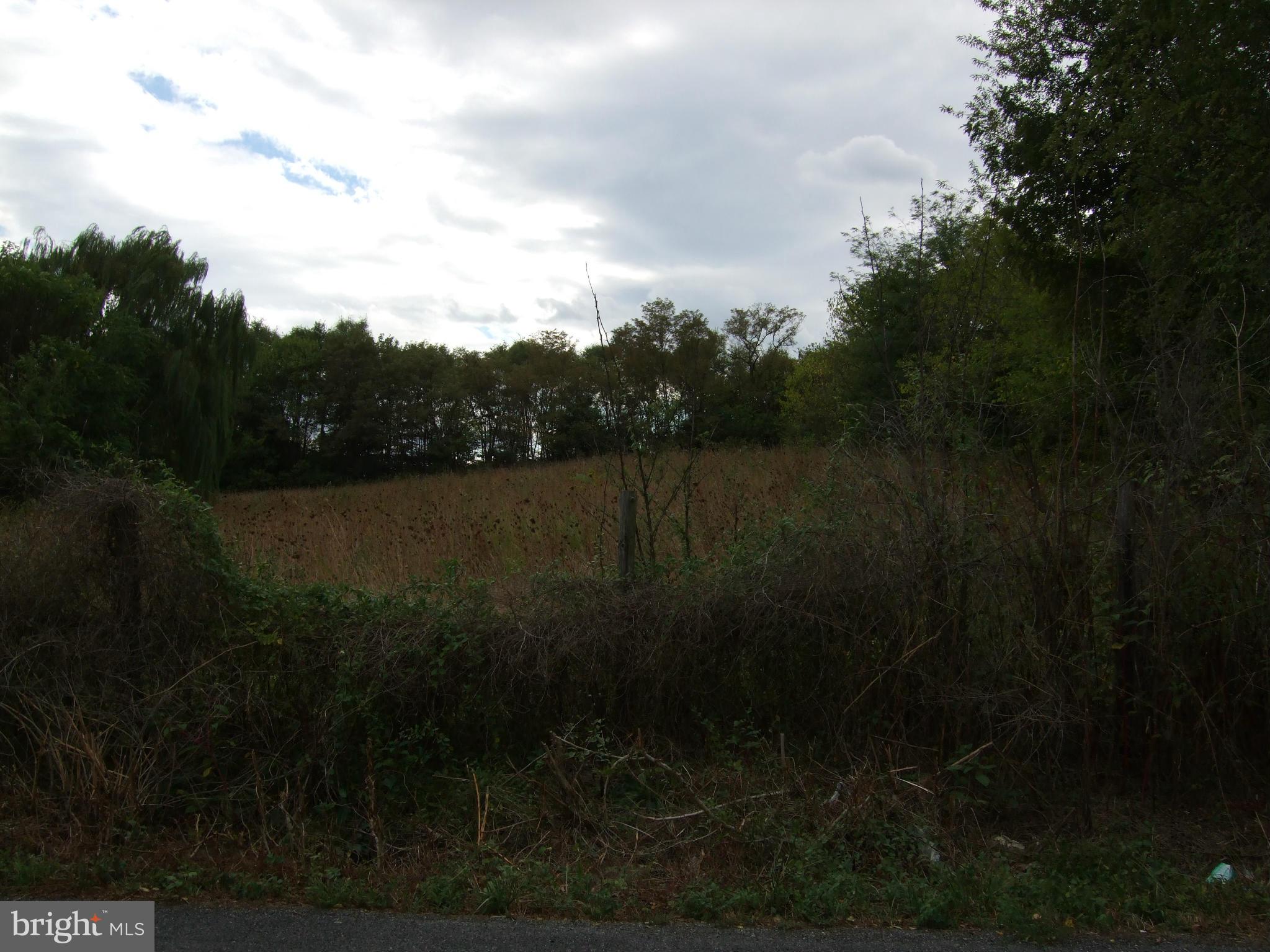 Bufflick Road Winchester, VA 22602 - Photo 6 of 7 View