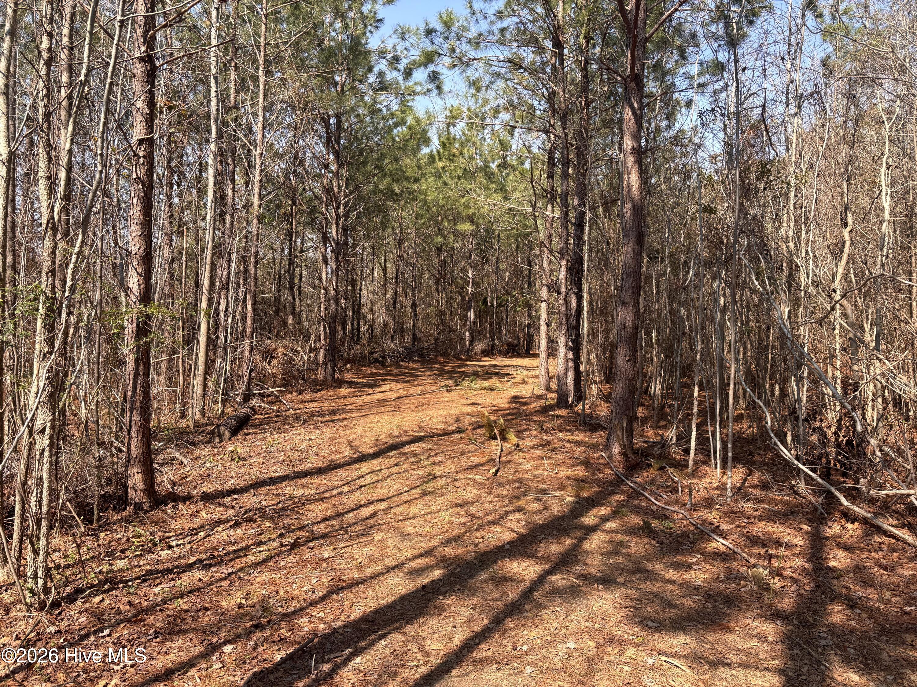 0 Irvin Road Murfreesboro, NC 27855 - Photo 3 of 7 pathway 1