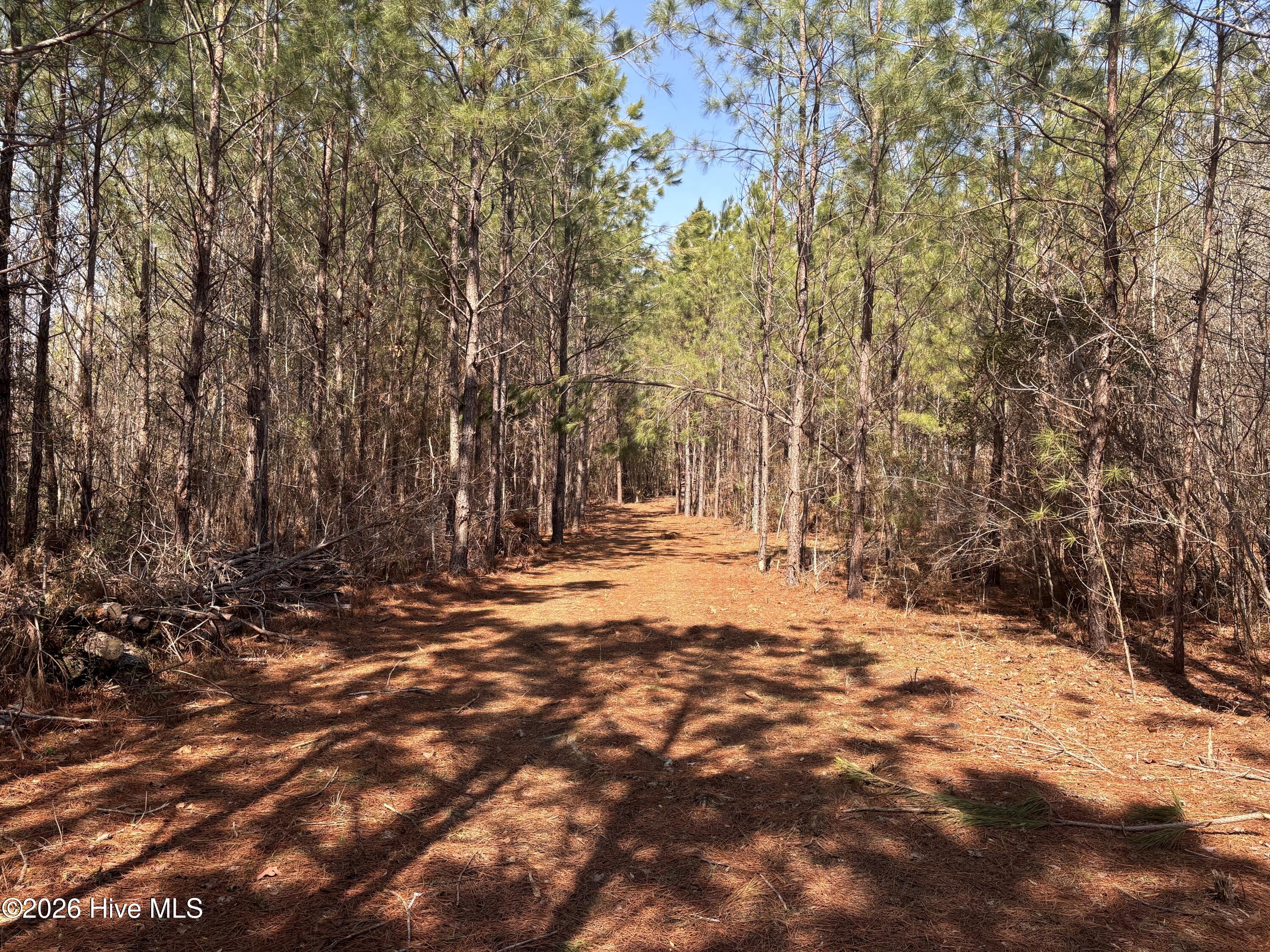 0 Irvin Road Murfreesboro, NC 27855 - Photo 4 of 7 pathway 2