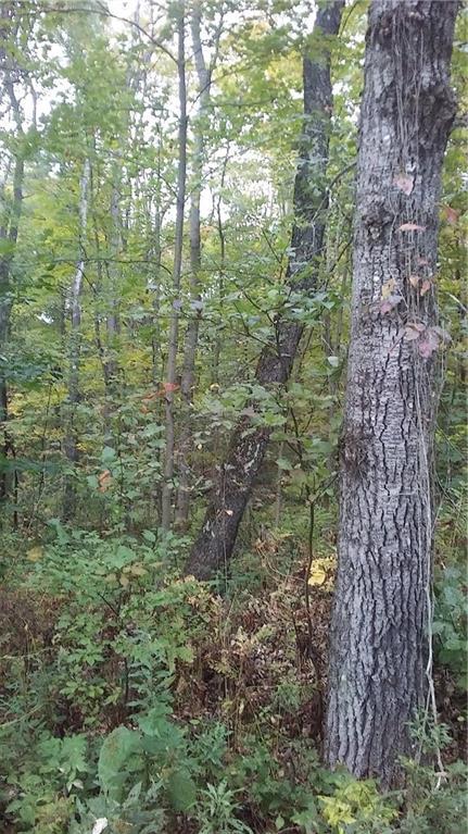 0 Flagg Road New Sharon, ME 04955 - Photo 2 of 12 Photo