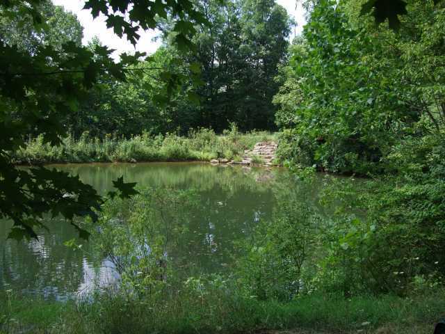 963 West Orange Road Delaware, OH 43015 - Photo 7 of 18 Gallery Image 7