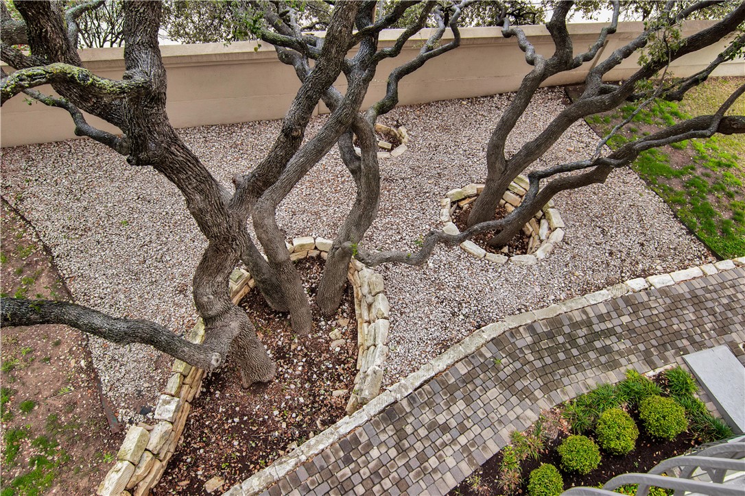 2918 Ranch Road 620 North, Unit W222 Austin, TX 78734 - Photo 15 of 30 a view of a tree in a yard