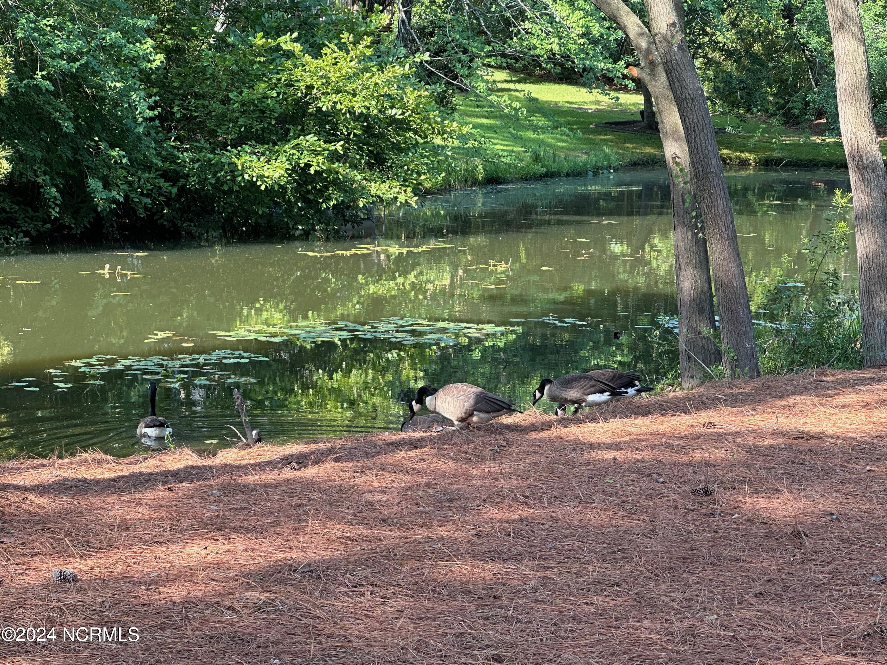 32 Riviera Drive Pinehurst, NC 28374 - Photo 50 of 63 IMG_6386