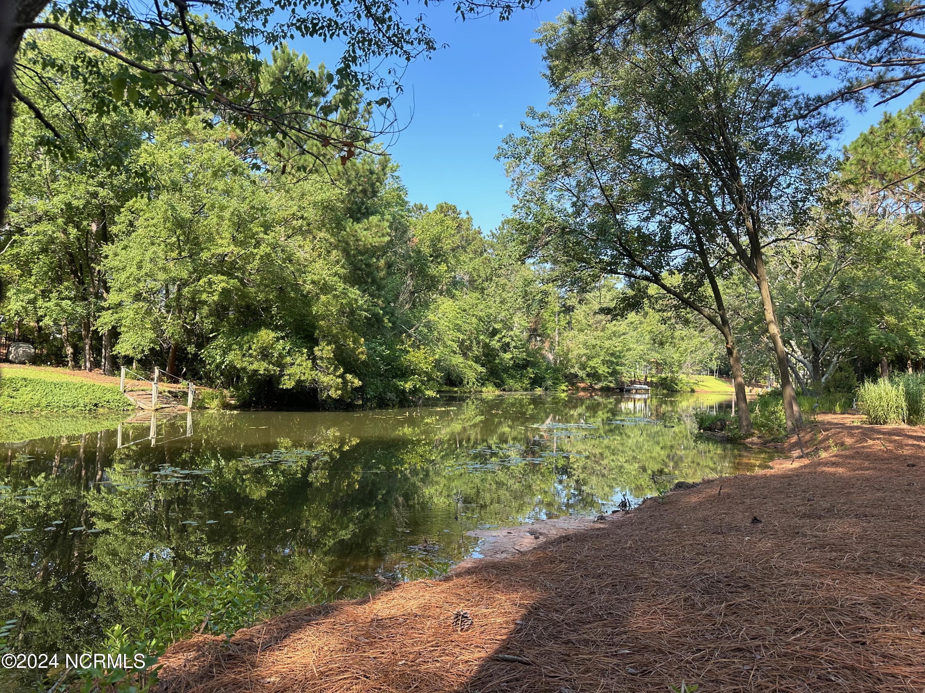 32 Riviera Drive Pinehurst, NC 28374 - Photo 51 of 63 IMG_6397