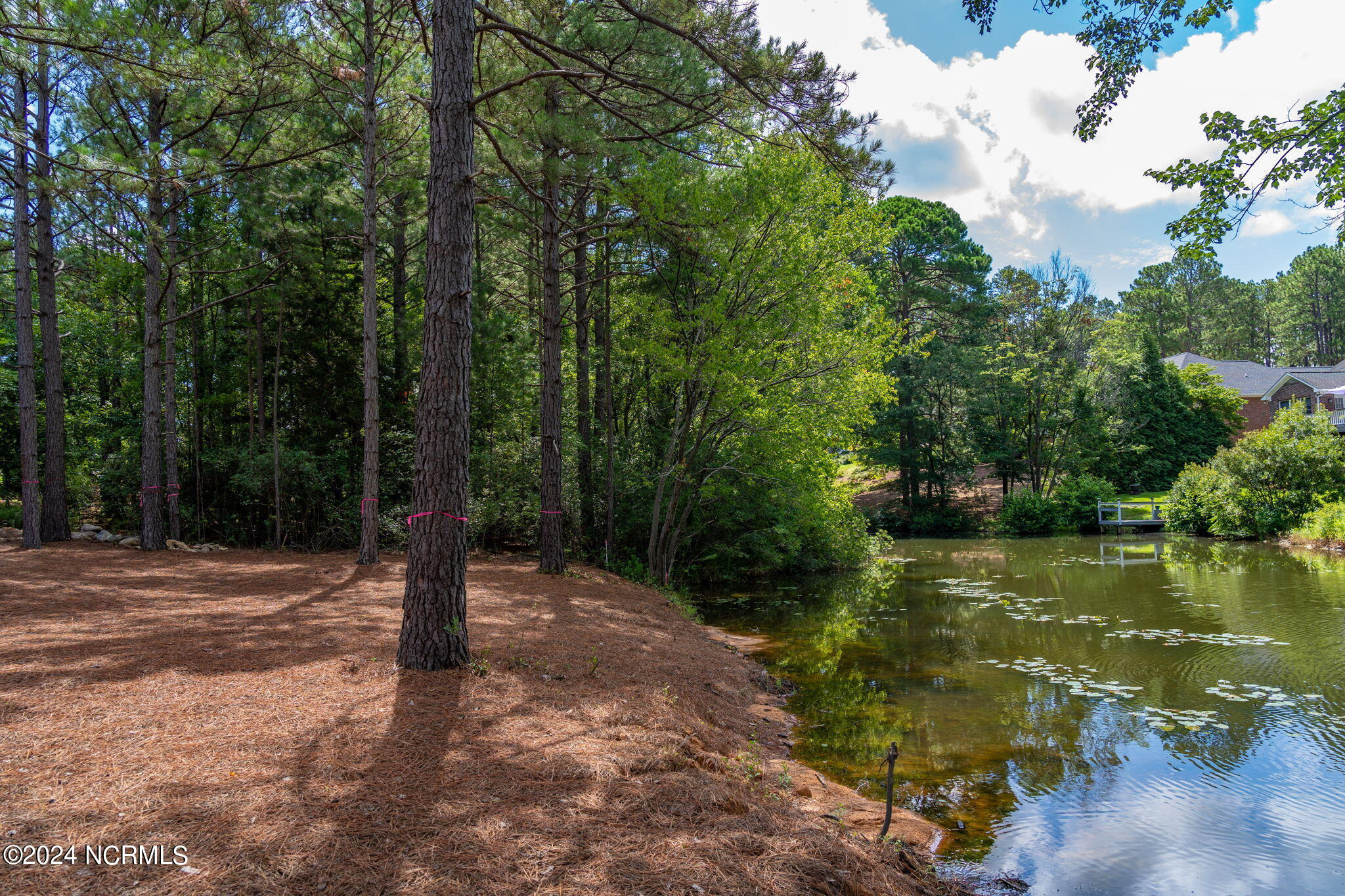 32 Riviera Drive Pinehurst, NC 28374 - Photo 58 of 63 20-web-or-mls-MOCO-06951